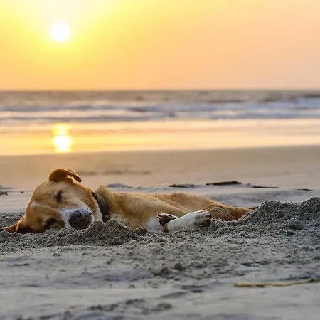 شقة Seebadrast - 5-sterne Mit Historischem Charme Und Modernem Komfort